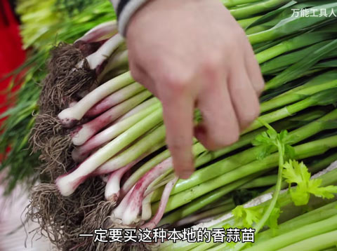 我没想到你们居然不会买菜,菜市场到处都是坑-趣观网